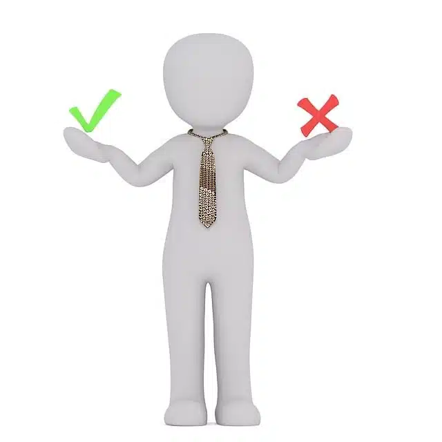 male, 3d model, isolated, 3d, model, whole body, white, 3d man, white male, advantages, disadvantages, weigh up, hook, green, x, red, comparison, advantages, advantages, advantages, advantages, disadvantages, disadvantages